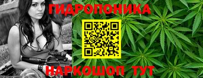 МДПВ Нальчик