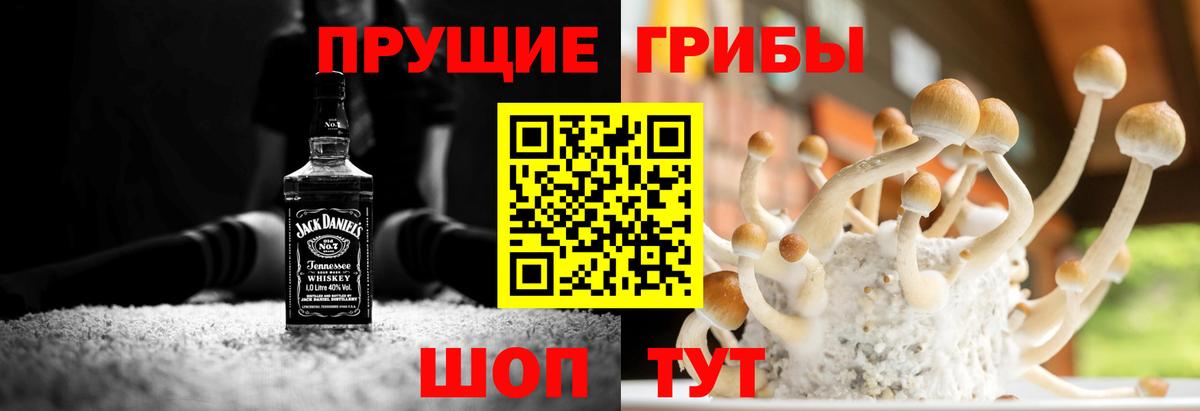 Галлюциногенные грибы ЛСД  где можно купить наркотик  Северобайкальск  Вход с VPN 